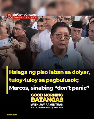 Main News Image